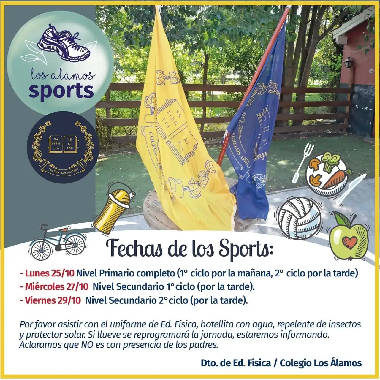 Banderas de las houses del colegio ondeando en el predio durante la jornada deportiva